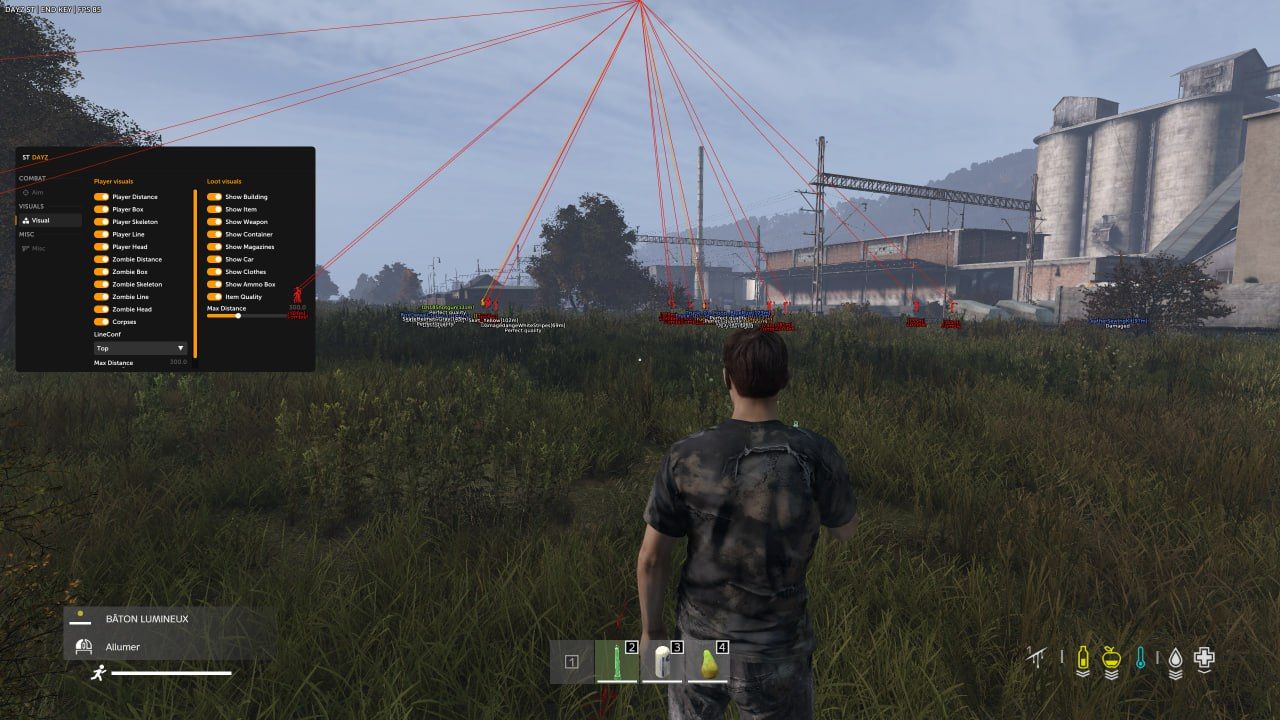 DayZ screenshot 3 — DayZ ST