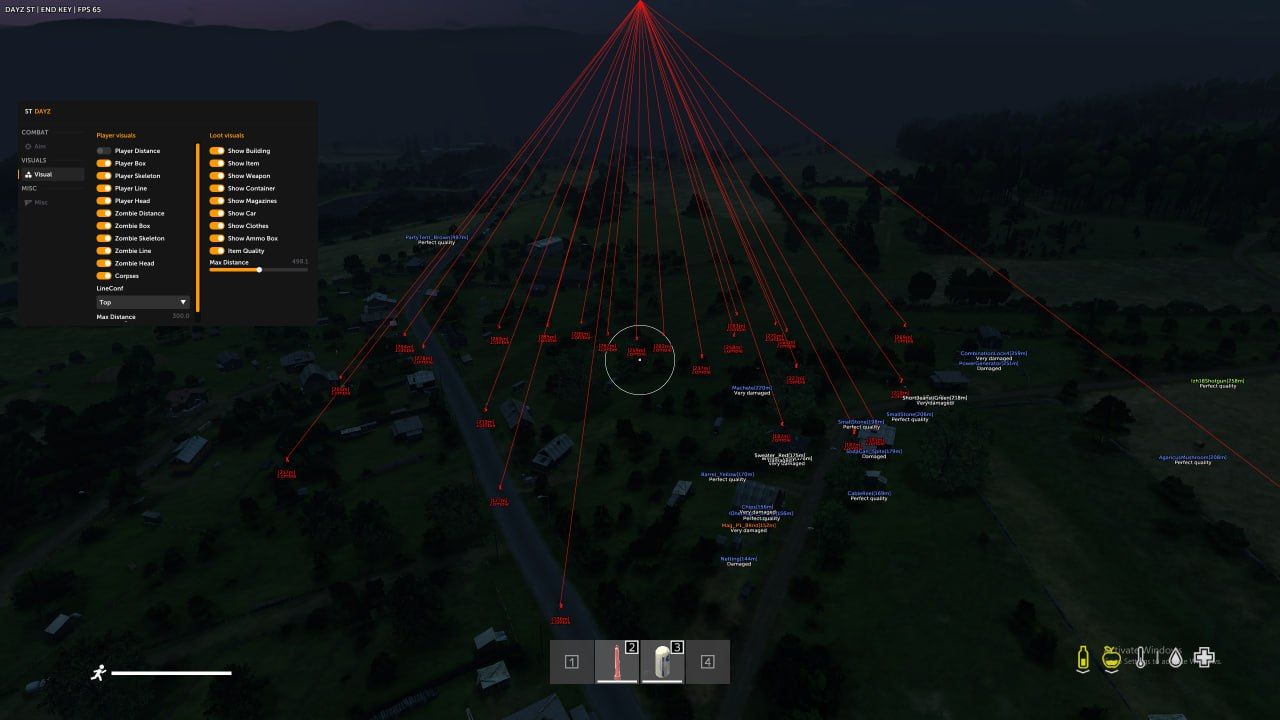 DayZ screenshot 4 — DayZ ST
